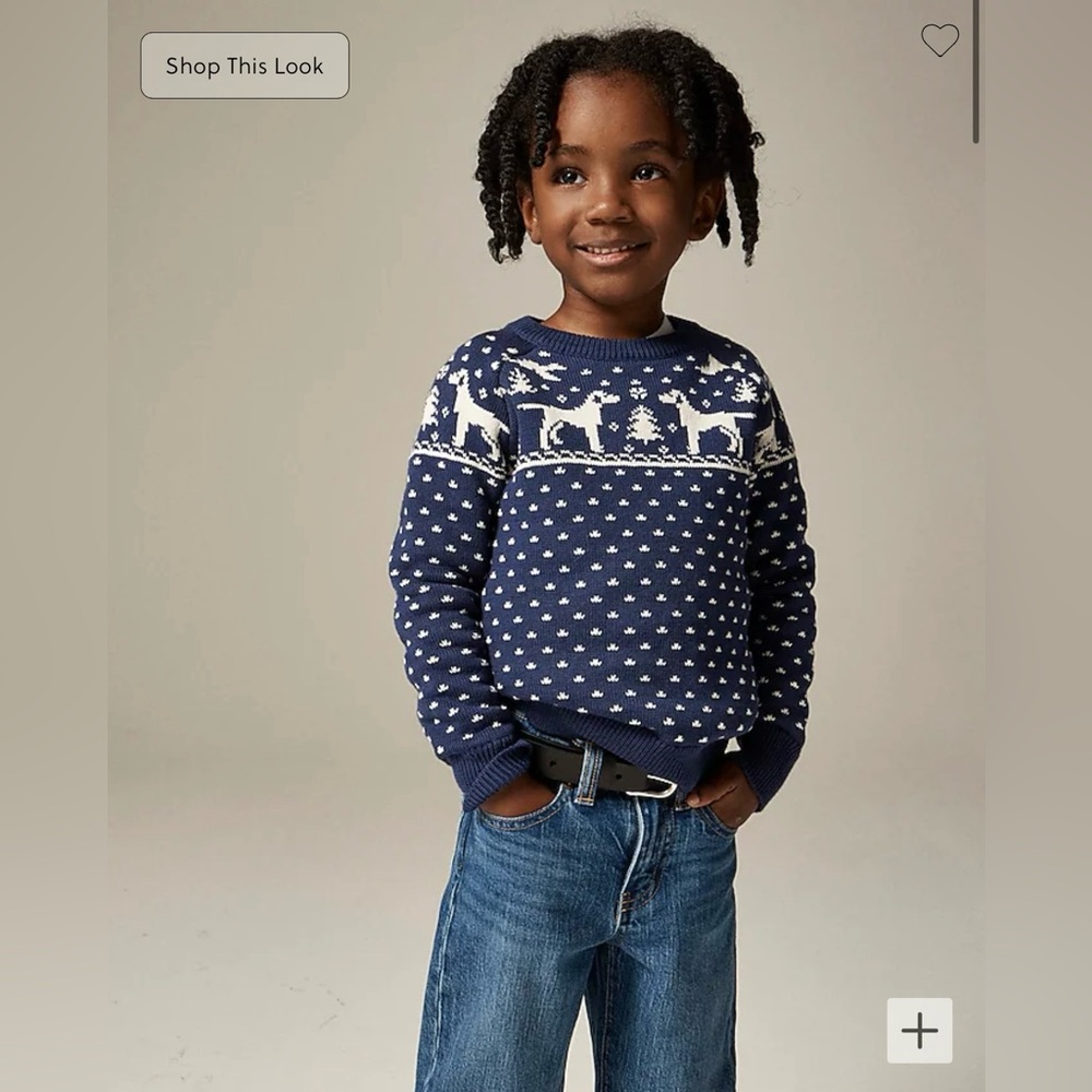 Boys Crewcuts Fair Isle Sweater